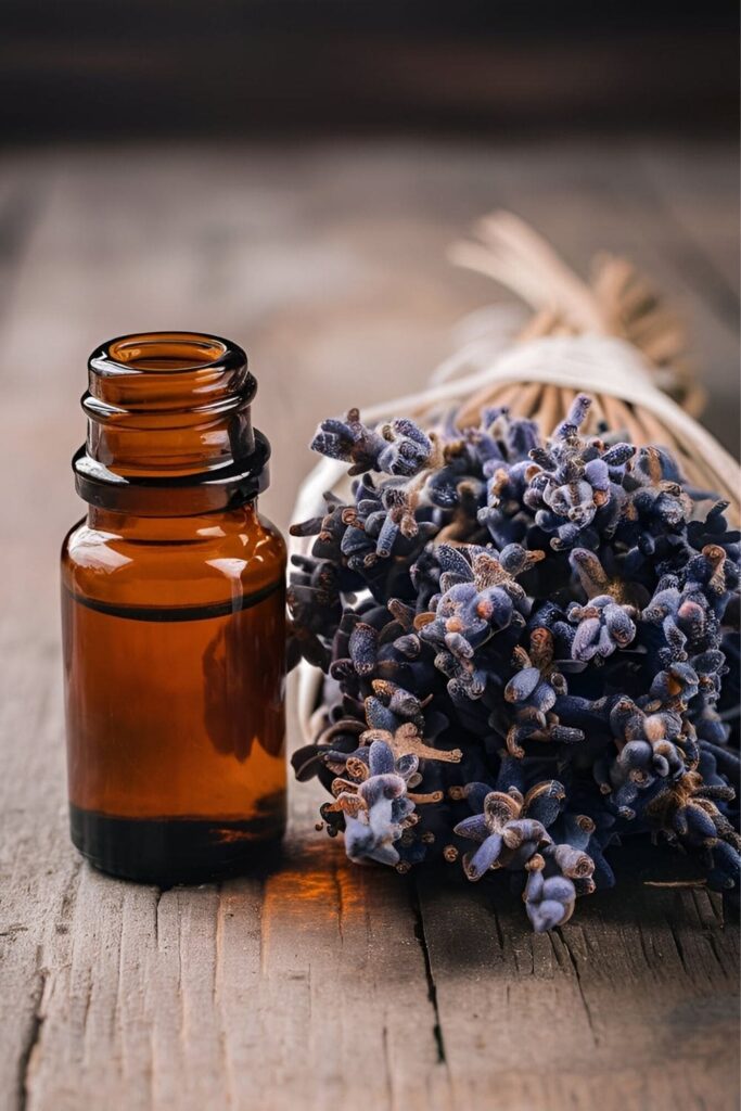 A bottle of lavender essential oil next to dried lavender flowers and scattered lavender petals on a white background